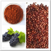 ��������ȡ��