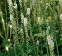 ��������ȡ��